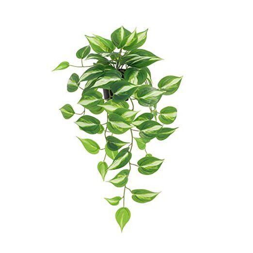 Lifelike Artificial Devil's Ivy Golden Pothos Hanging Faux Plant in Pot