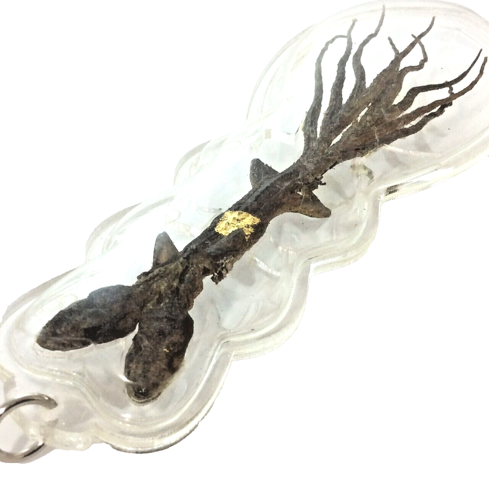 Jing Jok 2 Head 9 Tails Amulet Thai MAGIC Charm WEALTH Success FORTUNE Gamble