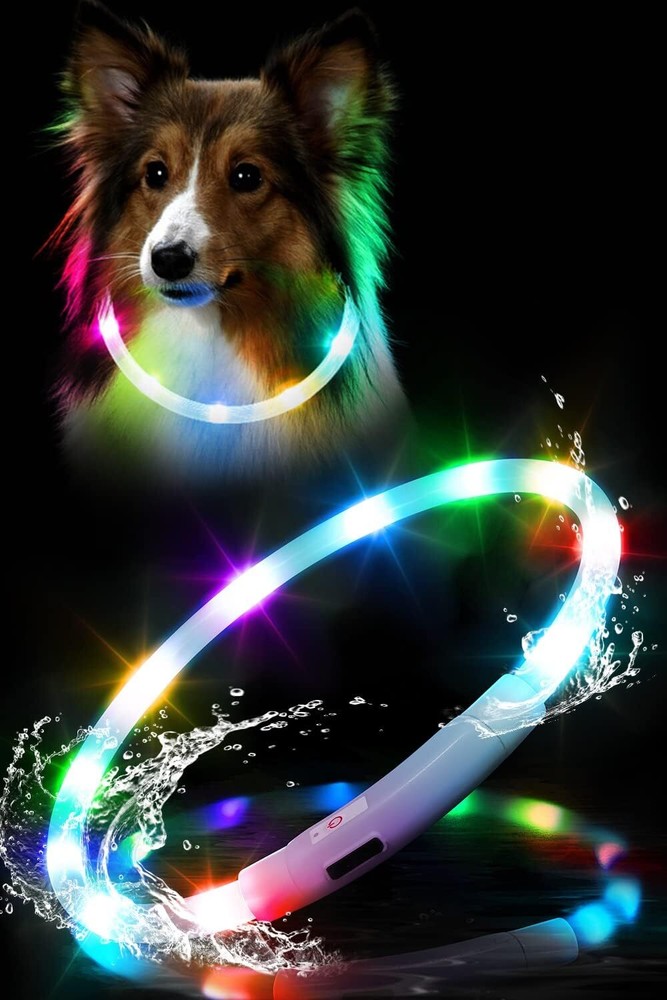 Waterproof LED Dog Collar USB Rechargeable  Lighted Safety Training  Dogs