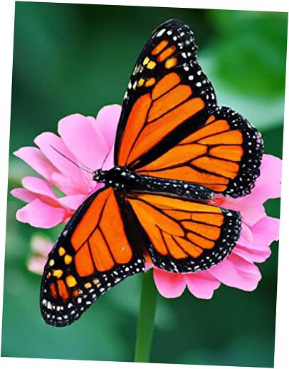 5D Butterfly Diamond Painting Kits - DIY Diamond Art Kits for Adults Flower,