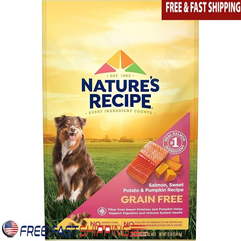 Grain Free Salmon Dog Food W/ Sweet Potato Pumpkin Healthy Digestion & Skin New
