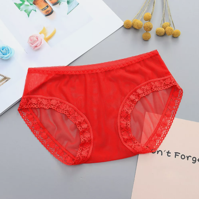 Ladies Sexy Lace Mesh Underwear See Through Panties Briefs Knickers Lingerie