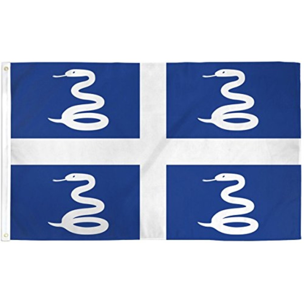 3x5 Martinique Caribbean Island Flag French France Pennant Banner