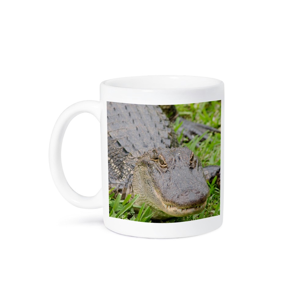 3dRose Louisiana Barataria Preserve Alligator Mug  