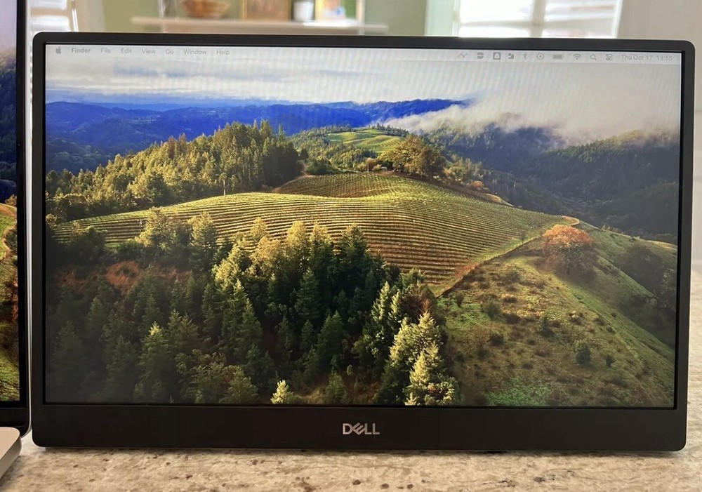 Dell P1424H 14