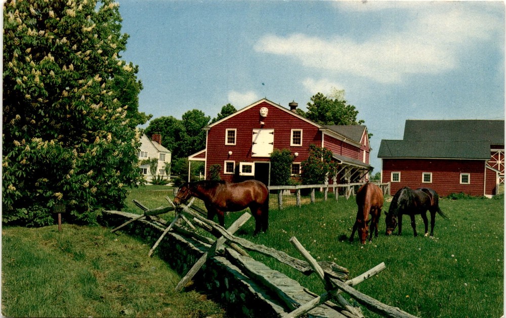 BERKELEY, CALIF, U. S. A. Postcard
