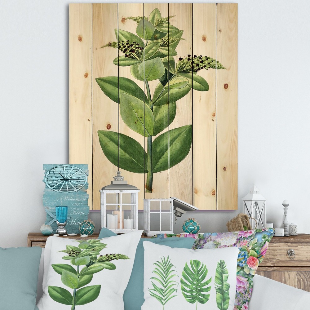 Designart 'Vintage Green Leaves Plants VI' Traditional Print