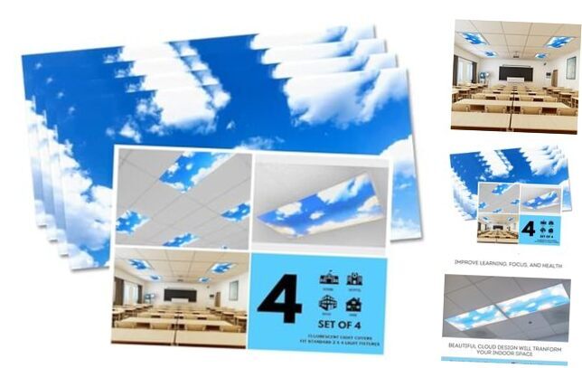 - 4 Pack of Fluorescent Light Covers - 2x4 Film Insert for Ceiling Light