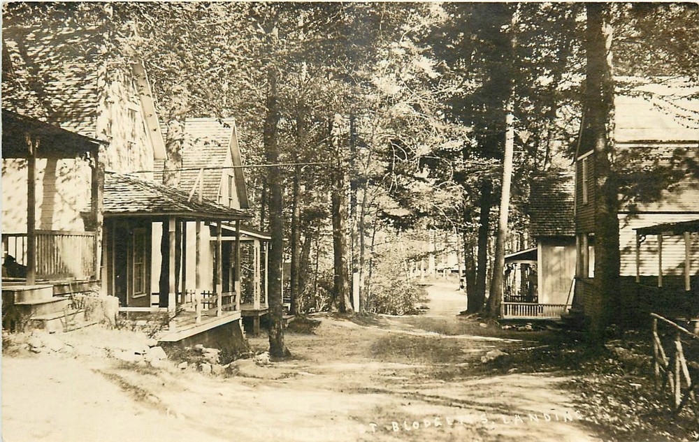 1920s Sunapee New Hampshire Blodgetts Landing RPPC Postcard 25-7186