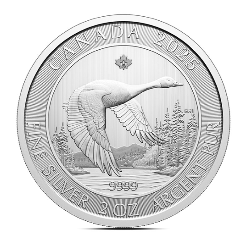 Presale 2025 2 oz Canadian Goose Silver Coin (BU)-image
