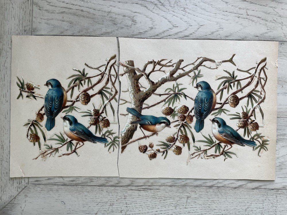 Antique Victorian Die Cut Scrap Birds Titmouse In Branches