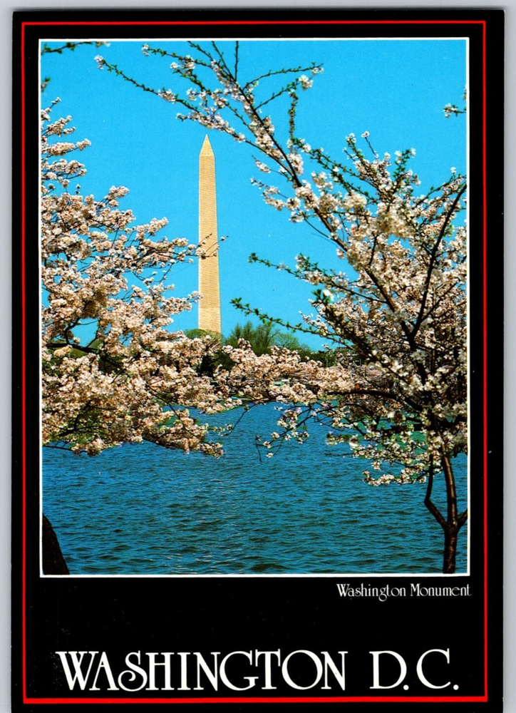 Washington Monument DC Cherry Blossoms Unposted Silberne Postcard