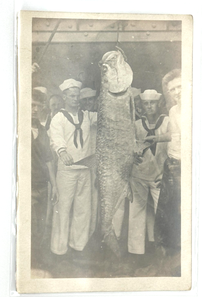 Sailors With Giant Catch – U.S. Navy RPPC 1920s Real Photo Fishing Tarpon Scene