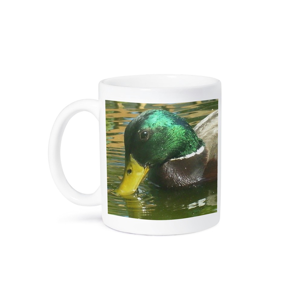 3dRose Mallard Duck Drinking Coffee Mug 11 oz