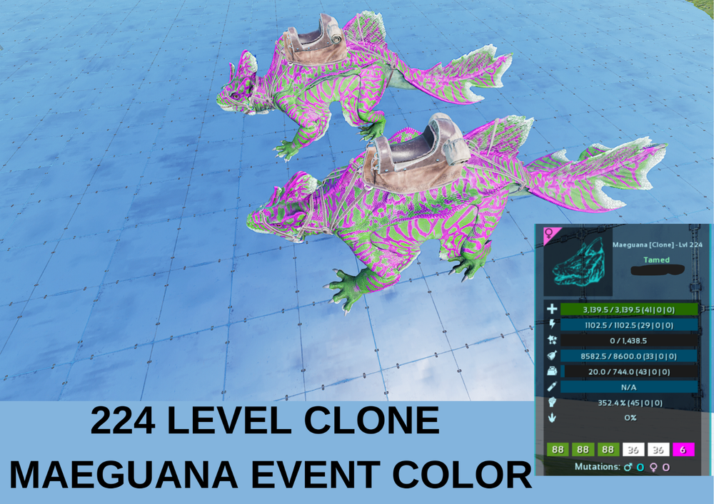 Maeguana 224 LEVEL CLONE EVENT COLOR Ark Survival Ascended Official PVE
