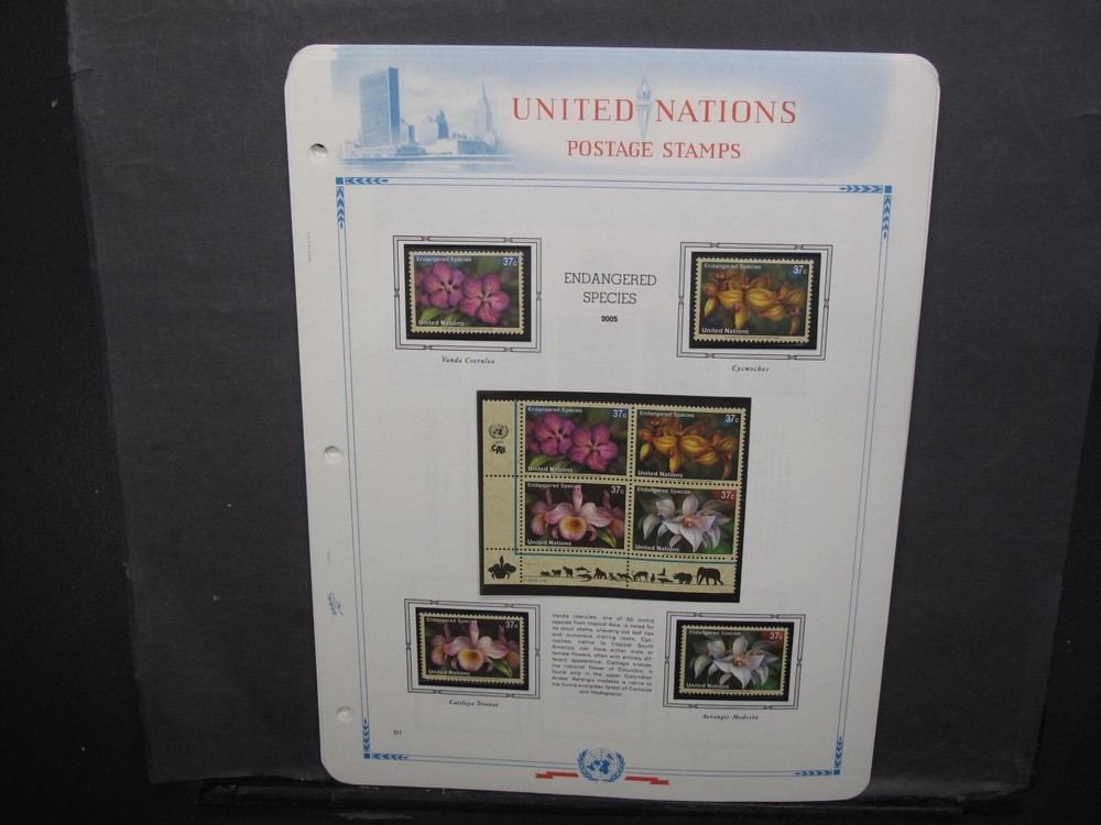 United Nations 2005 Collection On White Ace Album Pages MNH