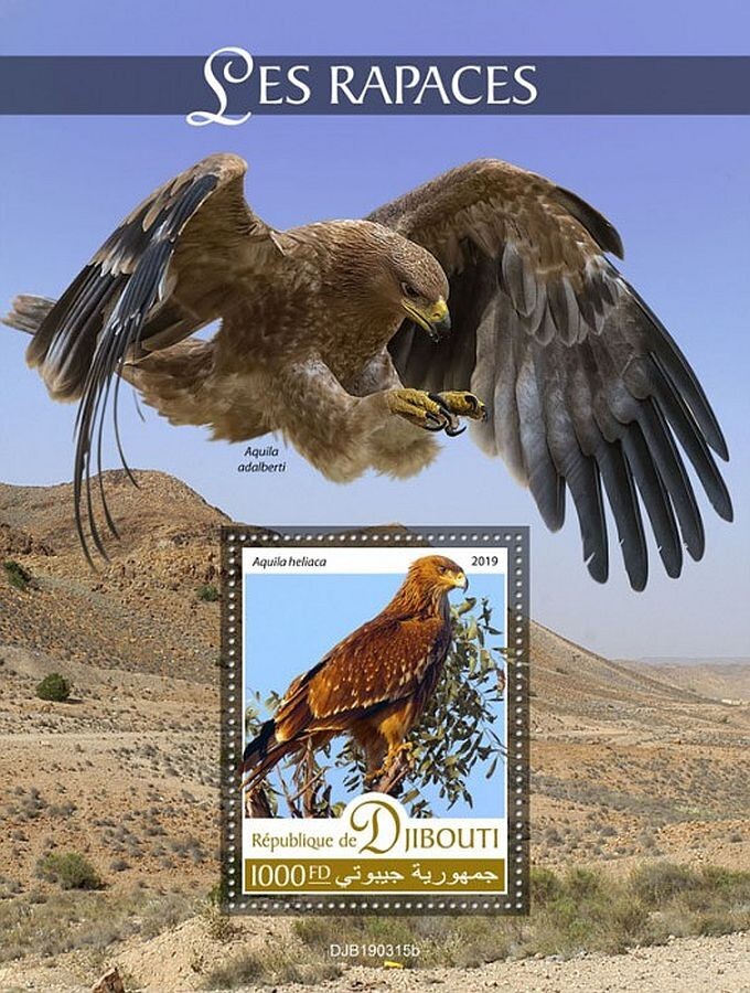 BIRDS OF PREY Eagles 1-Value MNH Bird Stamp Sheet #160 (2019 Djibouti)