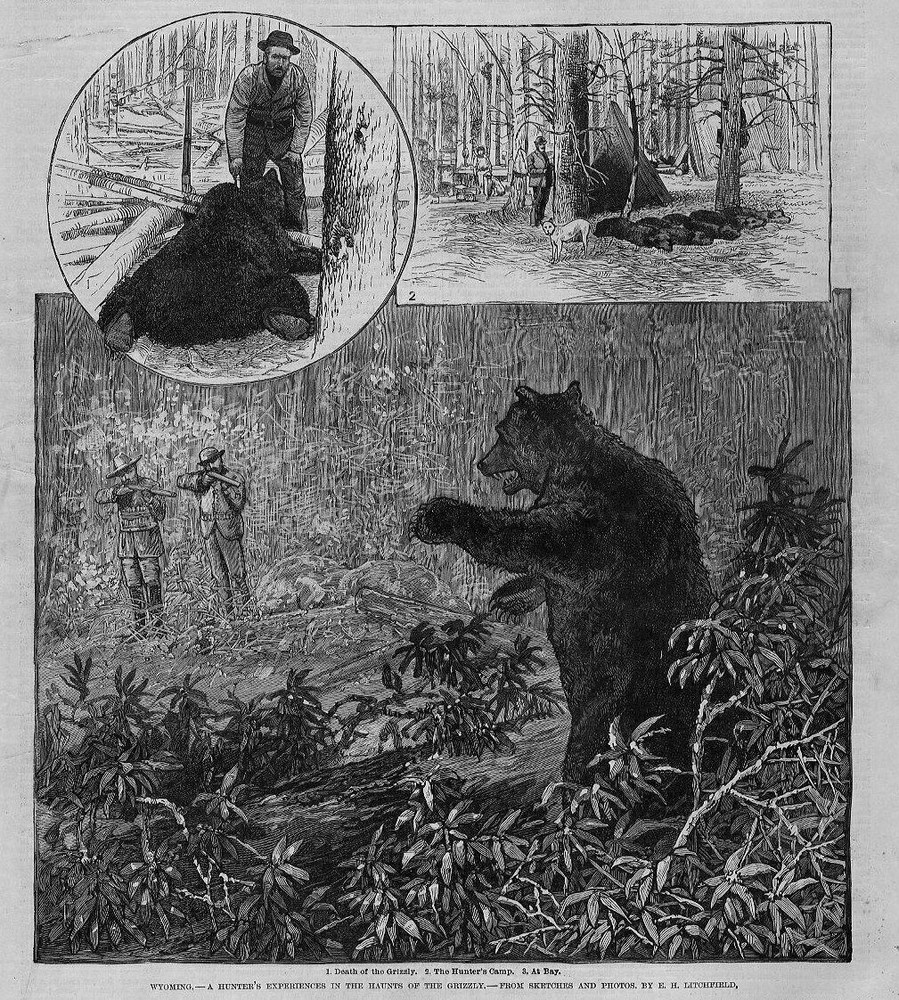 BEAR HUNTING IN WYOMING HUNTERS CAMP EXPERIENCE THE HAUNTS OF THE GRIZZLY BEAR