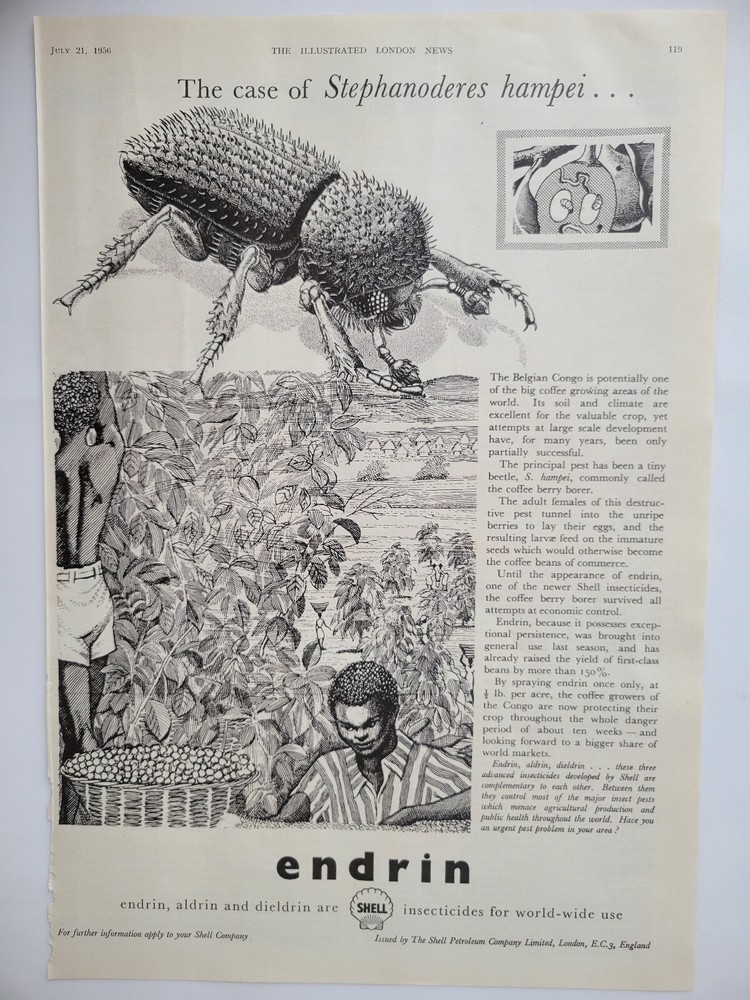 Coffee Crop Insecticide Shell Belgian Congo Original Print Ad 1956 ILN ~14.5x10