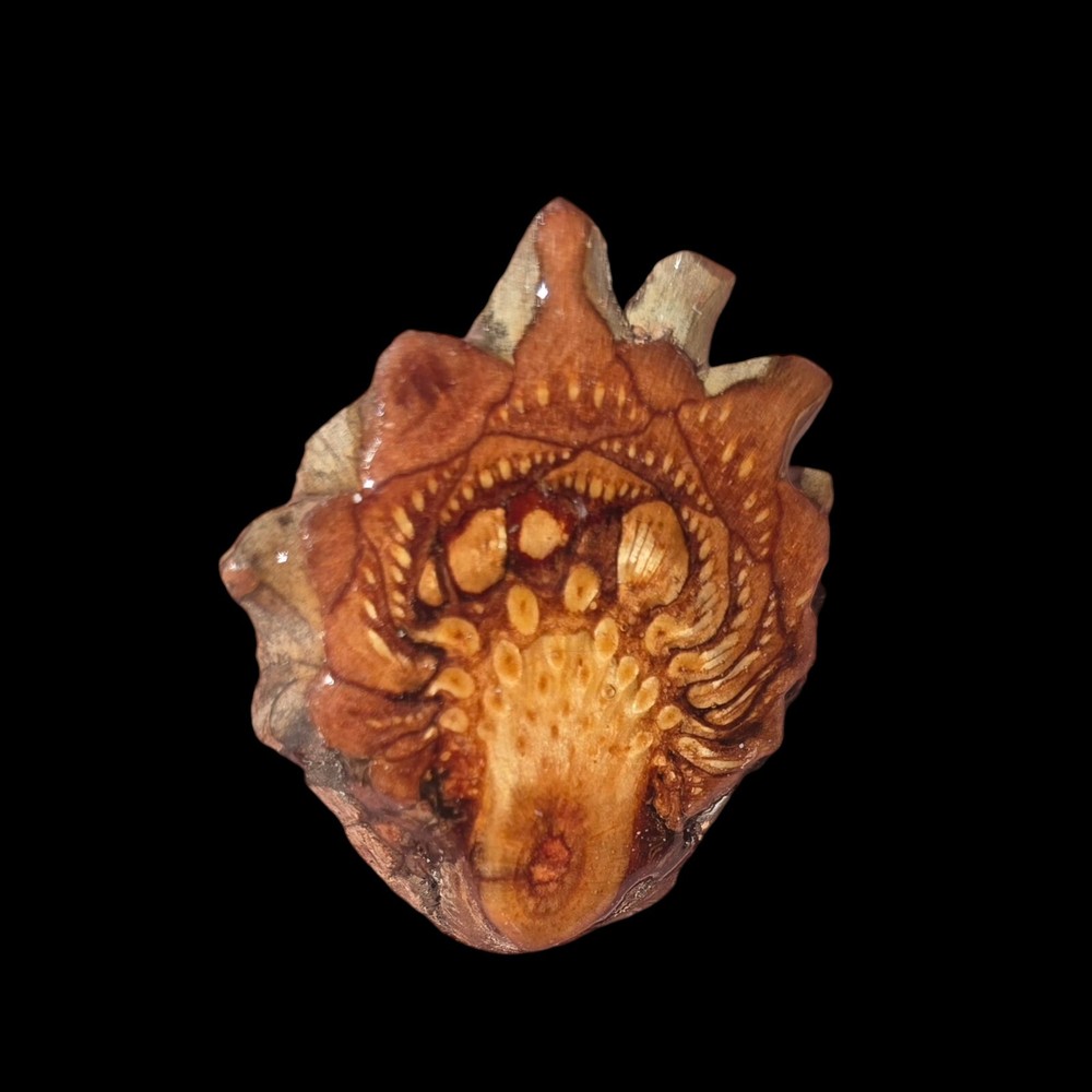 Knobcone (THIRD EYE) PENDANT