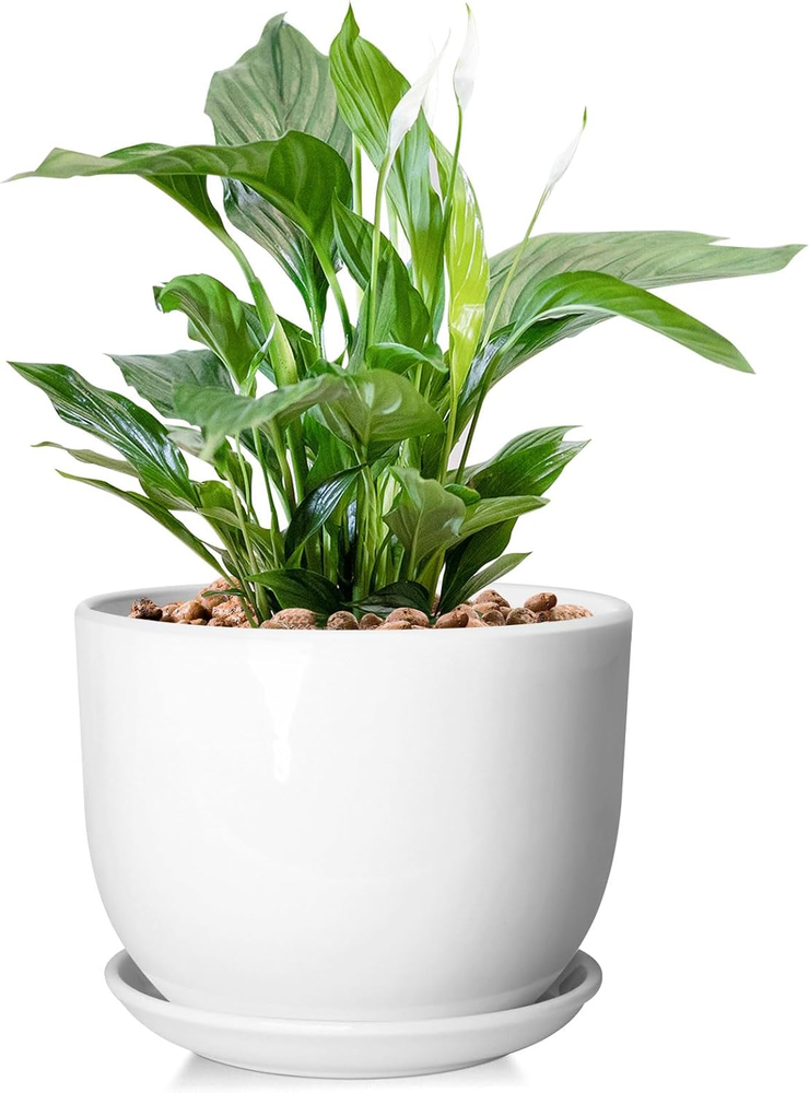 8 Inch Ceramic Planter, Plant Pots with Drainage Hole and Separable Saucer,Indoo