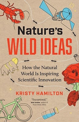 Nature's Wild Ideas How the Natural Wor Kristy Hamilton Paperback