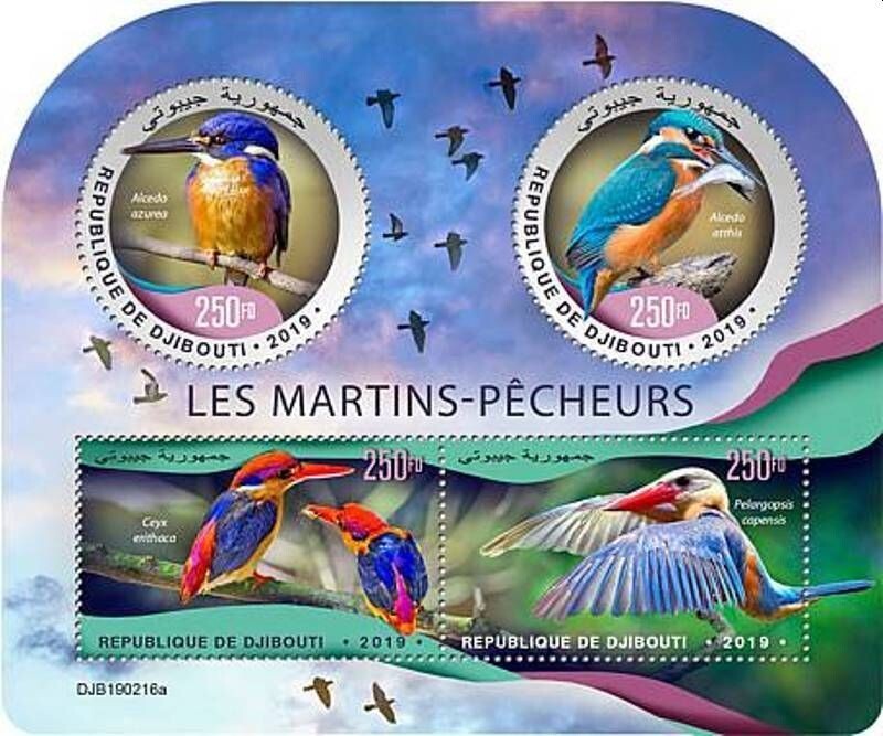 KINGFISHERS 4-Value MNH Bird/Birds Stamp Sheet #151 (2019 Djibouti)