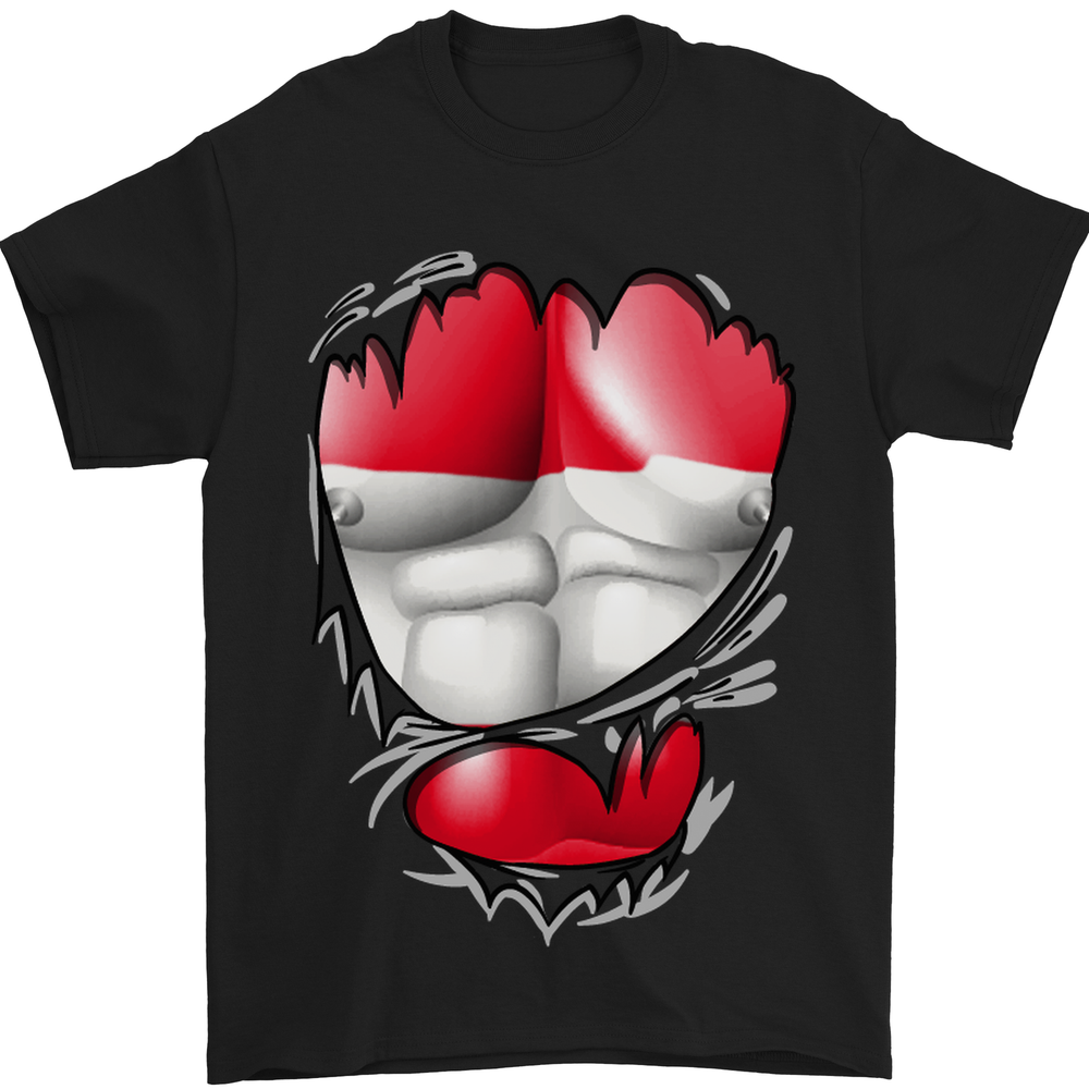 Gym The Austrian Flag Ripped Muscles Austria Mens T-Shirt 100% Cotton