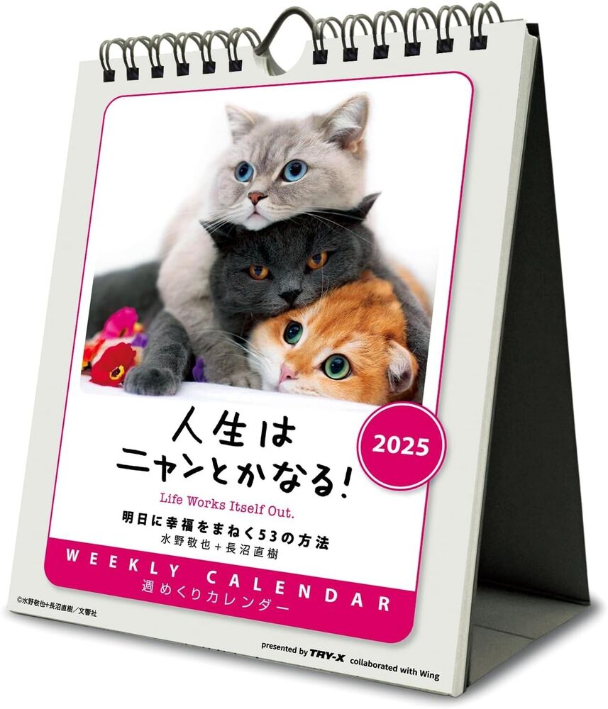 Desk Top Weekly Cat Life Works itself Out CL-384 Japanese Calendar 2025
