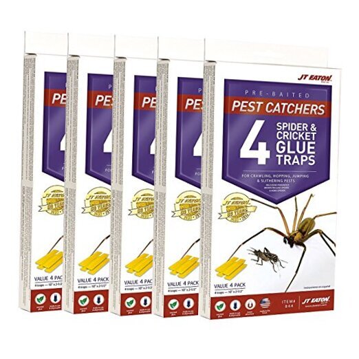 076706844002 Spider and Cricket Glue Trap (Pack of 5), White Box