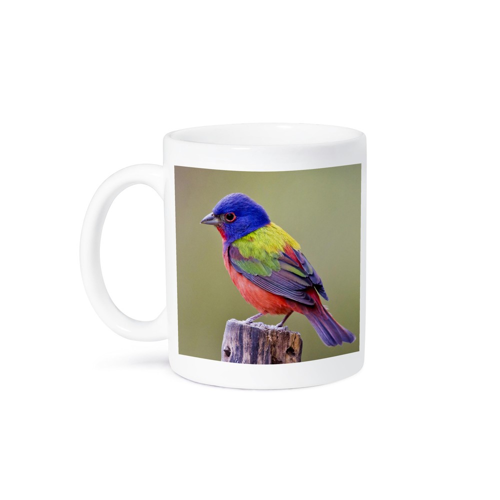 3dRose Larry Ditto Painted Bunting Male Bird Perched Mug US44 LDI1047