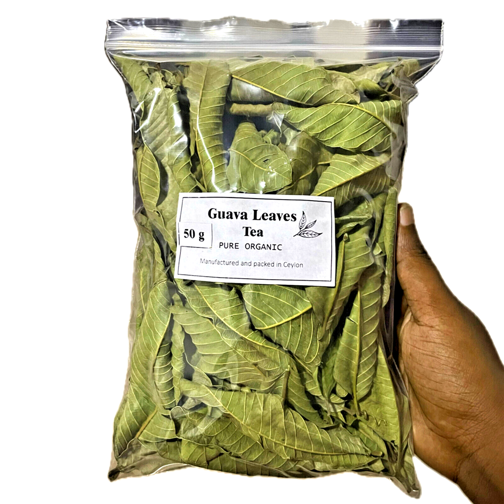 Organic Premium Dried Guava Leaves Loose Leaf Green Tea Hojas de Guayaba 100g