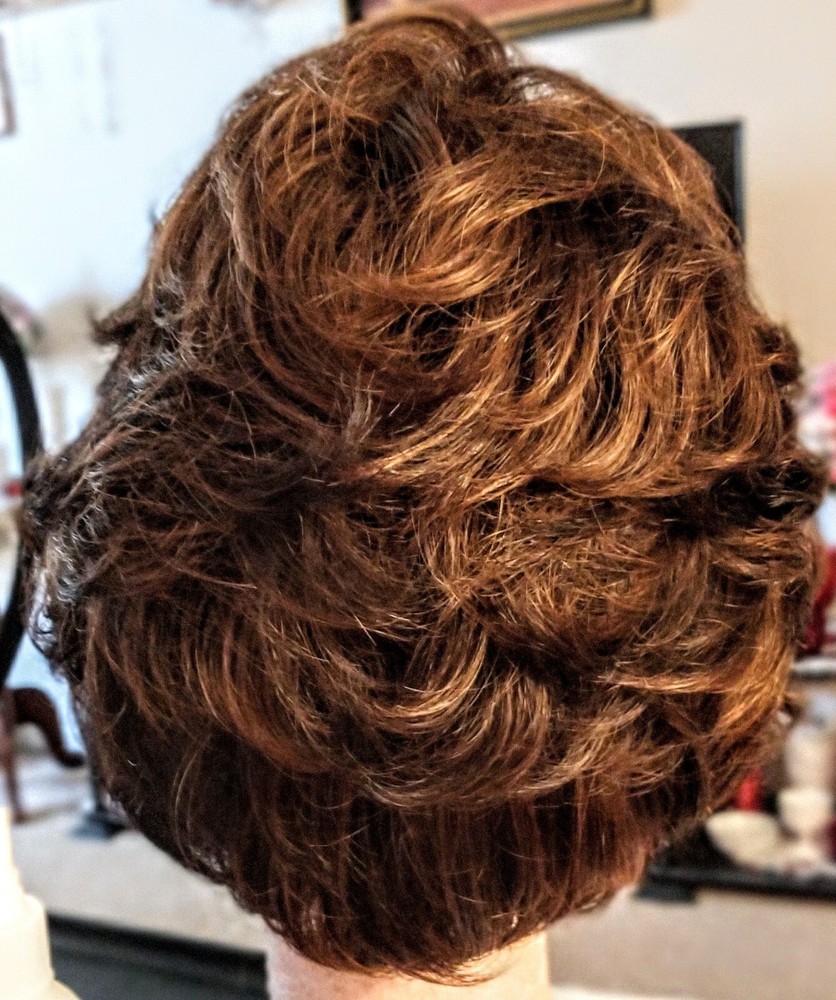 Beautiful Short Thick Layered Med Brown Hair Wig w/ Auburn Highlights Size Large