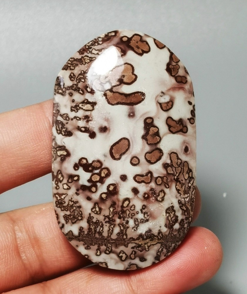 Rare Dendritic Chinese Painting Jasper Palm Reiki Stone Healing