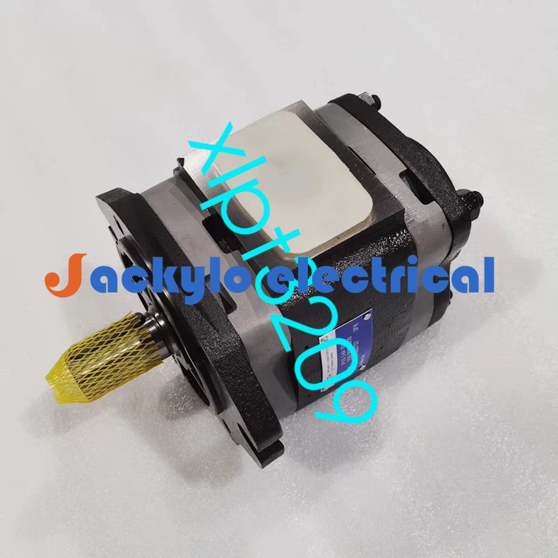1PC IPVP3-8-101 Voith Gear Pump New FedExor DHL