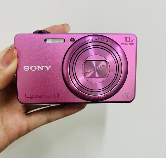 SONY Cyber-shot DSC-WX200 18.2 MP 10x Optical Zoom Digital Camera English