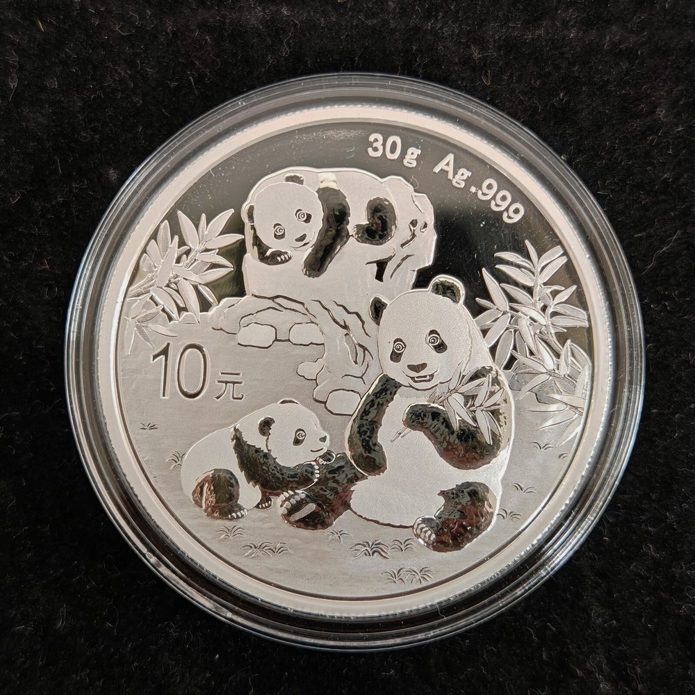 2025 China 10 Yuan 30g Panda Silver Coin