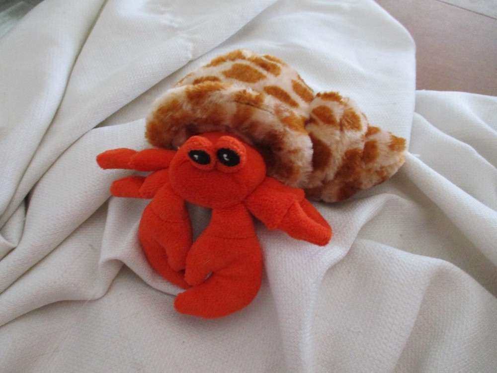 Spotted Hermit Crab Plush 6 Inch Educational Stuffed Toy by Wild Republic