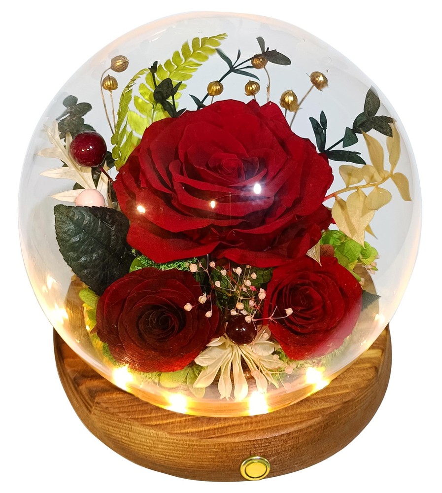 Long-Lasting Real Flowers – Perfect Floral Gift to Send Love for Any Occasion