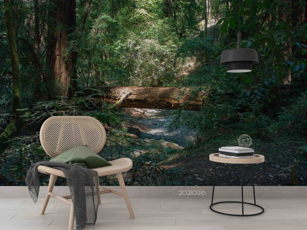 3D Forest Sunshine Landscape Wall Murals Wallpaper Murals Wall Sticker