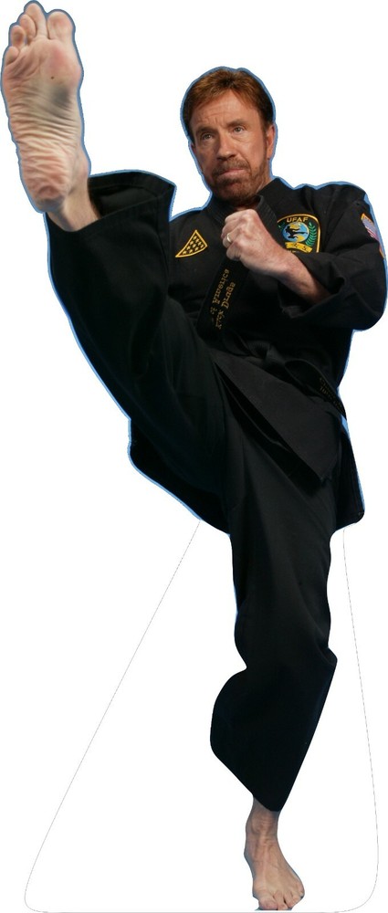 Chuck Norris - Martial Arts- 74