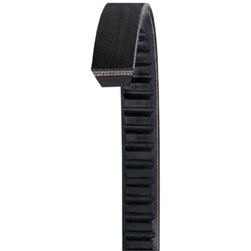 Dayco AX76 Accessory Drive Belt