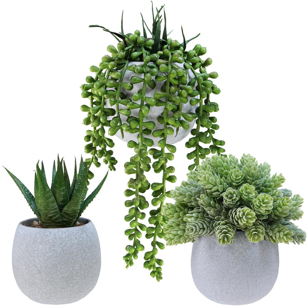 3 Small Faux Potted Succulent Plants Artificial Trailing String of Peas