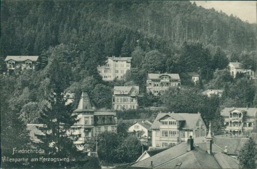Ansichtskarte Friedrichroda Villenpartie am Herzogsweg  (Nr.9609)