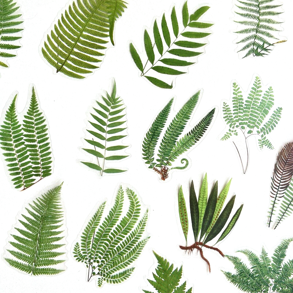 Forest Fern Stickers Junk Journal Collage Scrapbooking *Read Description*