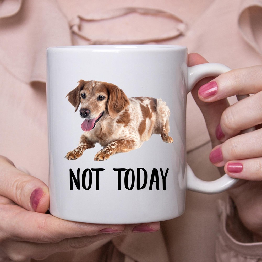 Funny Brittany Dog Red Merle Not Today Dog Mug Lazy Gift For Women Dogs Mom