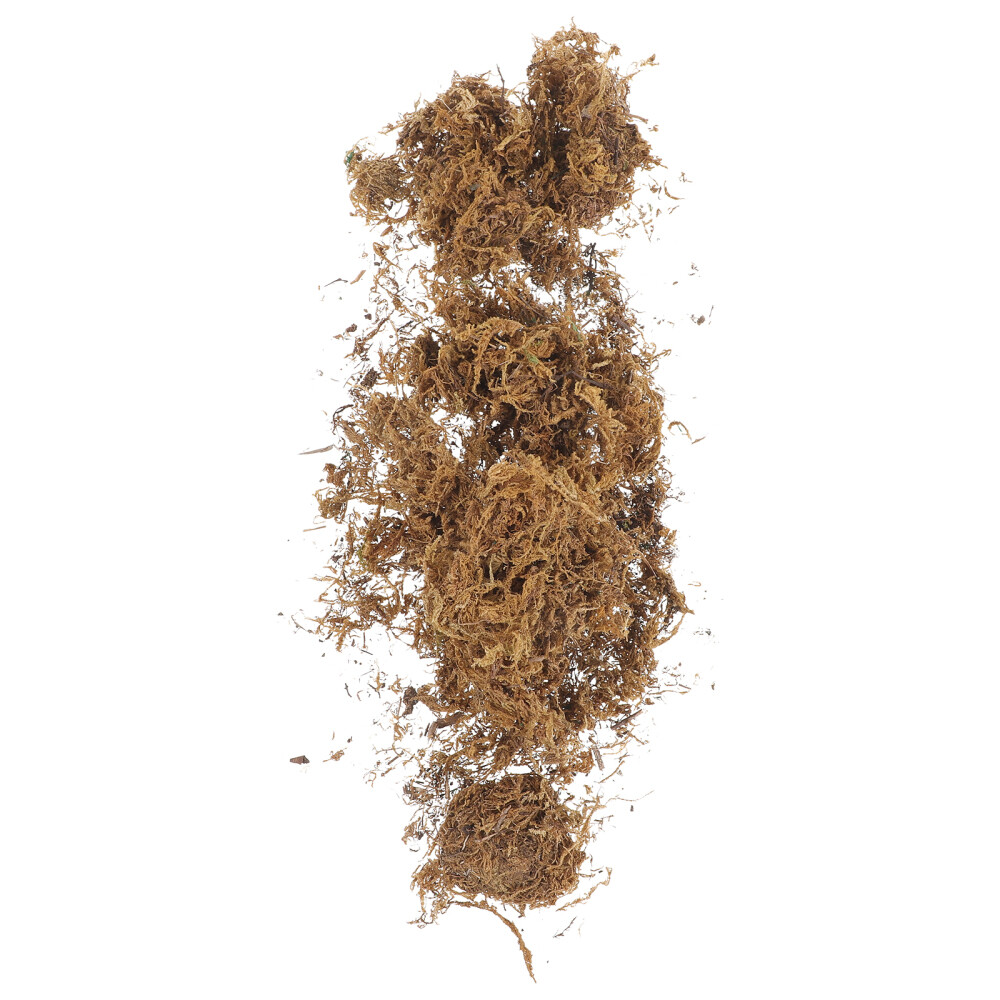 Preserved Moss Reindeer for Realistic Terrariums and Decorative Planters  