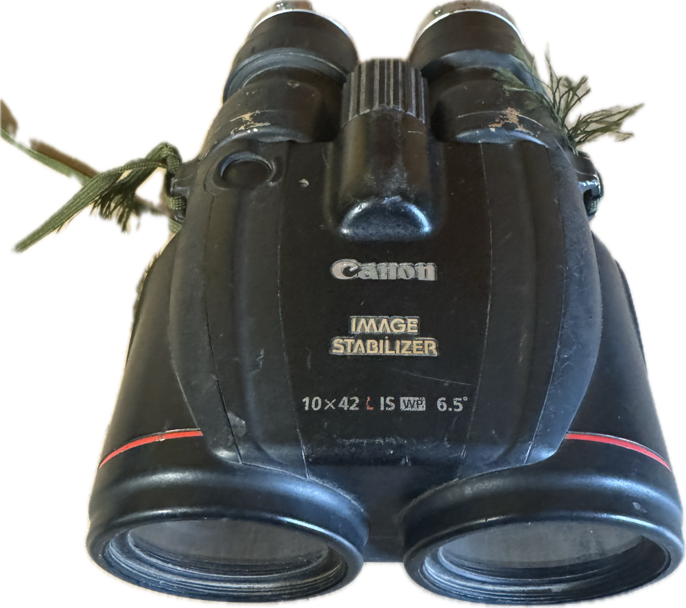 Canon 10x42 L IS WP 6.5° Image Stabilized Binocular I. S. NONFUNCTIONAL