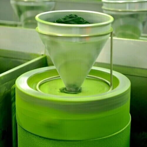 Japanese Matcha Green Tea Ayame 100g Kyoto Uji Matcha Powder