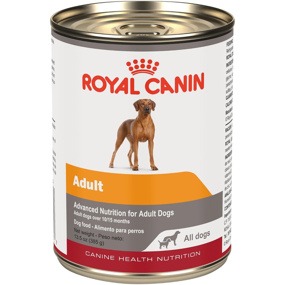 Royal Canin Canine Health Nutrition Adult In Gel Canned Dog Food, 13.5 oz, 24ct